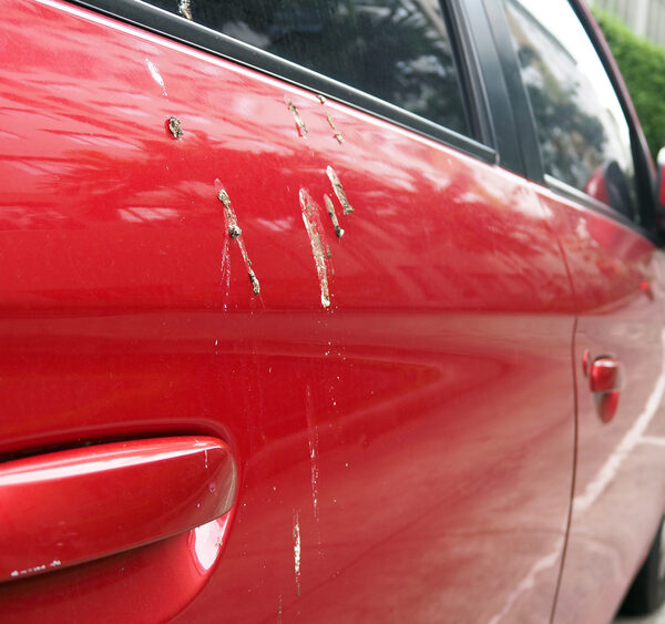 vogelpoep op de auto