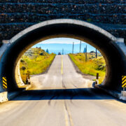 Tunnel over weg