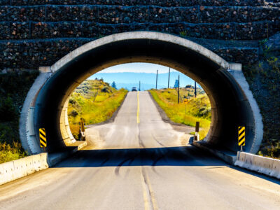 Tunnel over weg